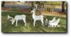 woodworking plans projects